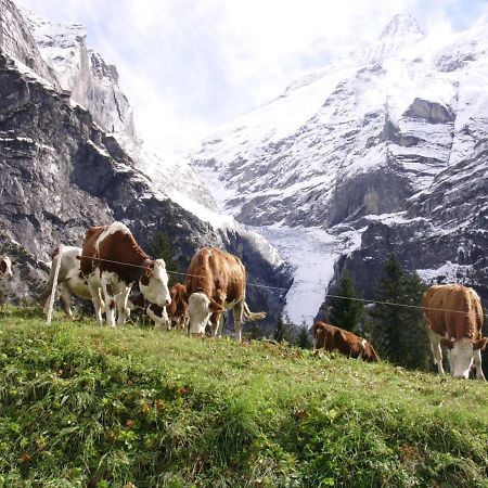 Apartamento Firstsunne Grindelwald Exterior foto